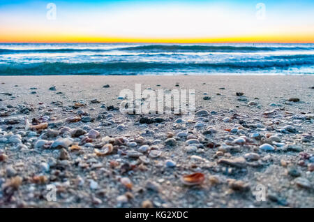 Conchiglie e ciottoli su di una spiaggia di sabbia a riva con le onde e cielo mattutino in background Foto Stock