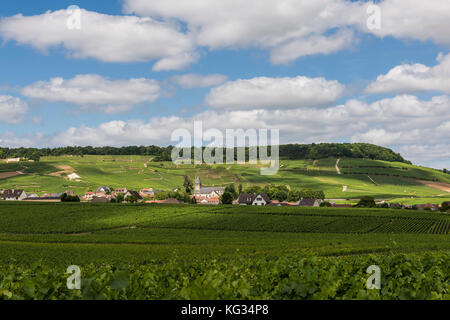 Avize, Francia - 12 giugno 2017: il piccolo villaggio di champagne avize/oger vicino a epernay con vigneti e colline su una giornata d'estate in Francia. Foto Stock