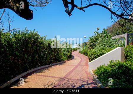 Una sezione vuota del lastricato e modellata rivestita di vegetazione spiaggia passerella contro l oceano e cielo blu a umhlanga a Durban, Sud Africa Foto Stock