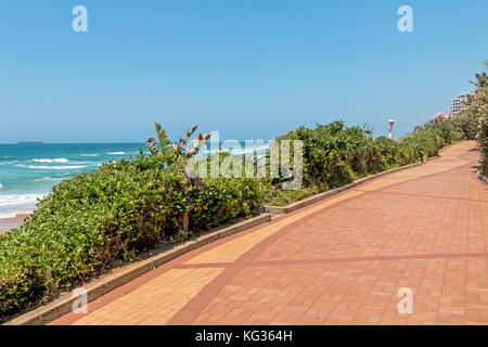 Una sezione vuota del lastricato e modellata rivestita di vegetazione spiaggia passerella contro l oceano e cielo blu a umhlanga a Durban, Sud Africa Foto Stock