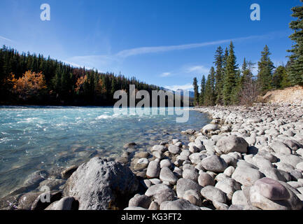 L'Athabasca River scorre dalle montagne rocciose canadesi in Alberta, Canada Foto Stock