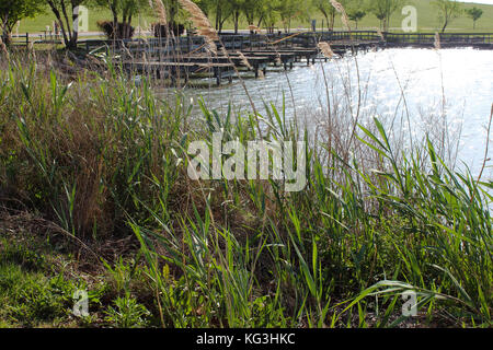 Paesaggio di Virginia Foto Stock