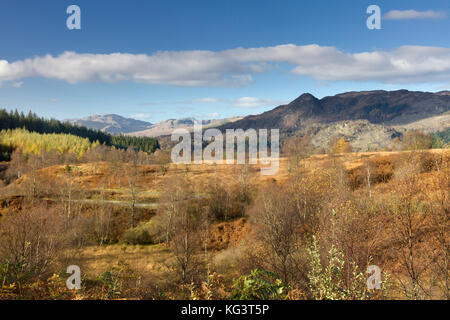 I colori autunnali lungo la Duke's Pass, aberfoyle, Stirlingshire, il trossacks, SCOZIA Foto Stock