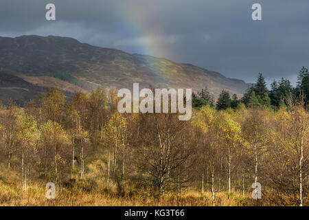 I colori autunnali lungo la Duke's Pass, aberfoyle, Stirlingshire, il trossacks, SCOZIA Foto Stock