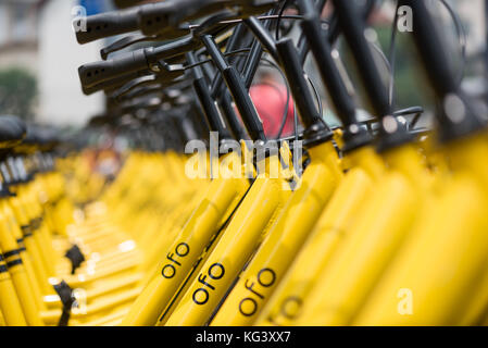 Chengdu, Cina - 21 Giugno 2017 : righe di colore giallo stazione OFO-free bike condivisa Foto Stock