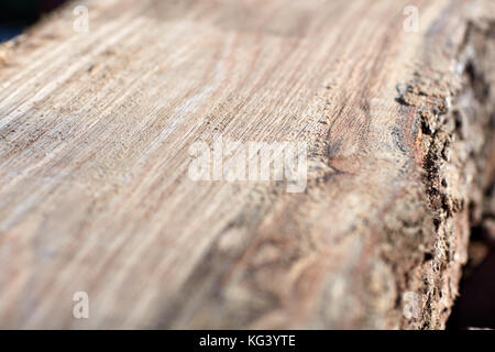 Close up dettaglio di macinato di fresco legname che mostra la superficie piana sul tronco di albero con una distinta configurazione a grana di legno e la corteccia Foto Stock