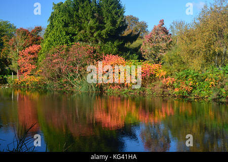 Fiume medway, yalding, colori dell'autunno Foto Stock