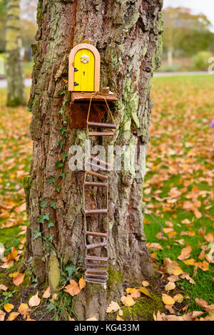 Porte Fairy su alberi in un bosco irlandese per la poca gente. Foto Stock