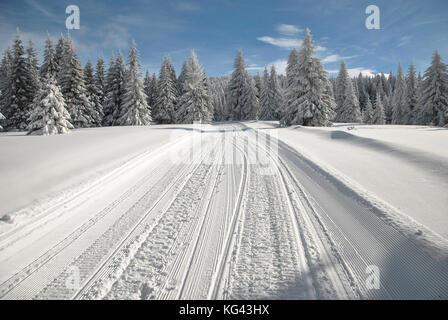 Piste da sci e la strada innevata attraverso il bosco di abete rosso con tracce di motoslitte in una luminosa giornata invernale Foto Stock