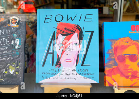 David Bowie " una vita di un' icona dalla A alla Z libro per la vendita in libreria nella finestra di Highland Park, Los Angeles, California, Stati Uniti d'America KATHY DEWITT Foto Stock