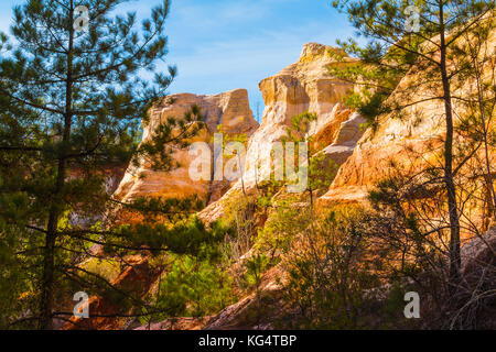 Rosso parete fangosa della provvidenza canyon con alberi in giornata soleggiata, Stati Uniti d'America Foto Stock