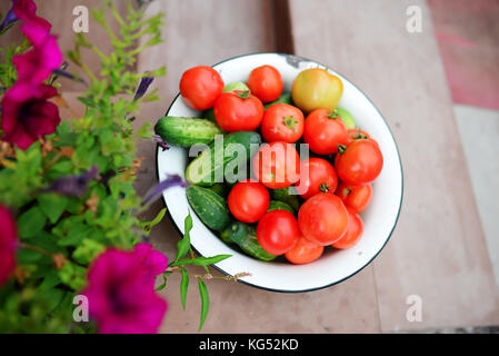 Piccoli pomodori e cetrioli. le verdure su una piastra bianca Foto Stock