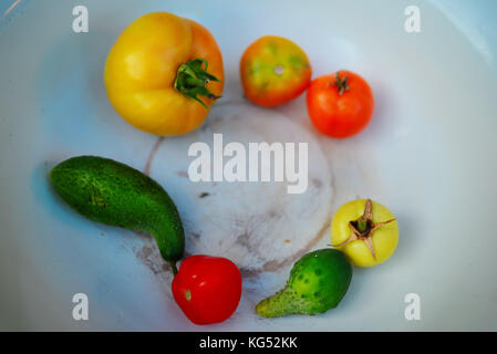 Piccoli pomodori e cetrioli. le verdure su una piastra bianca Foto Stock