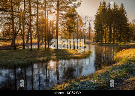 Il sole splende attraverso gli alberi in autunno park frosty mattina Foto Stock