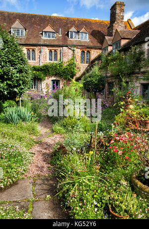 Cortile con giardino lussureggiante con la piantagione di piante perenni a Cothay Manor vicino a Wellington nel Somerset REGNO UNITO Foto Stock