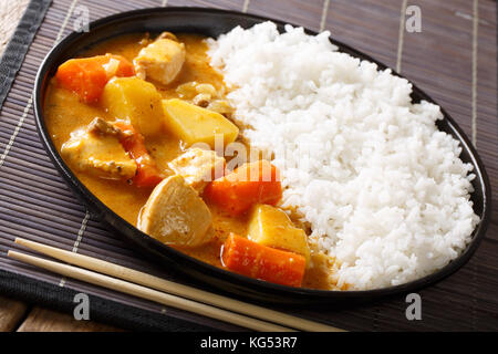 Il curry piccante e riso close-up su una piastra in stile giapponese. orizzontale Foto Stock