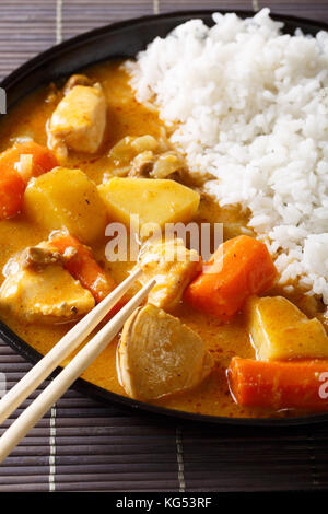 Il curry giapponese con pollo e riso close-up su una piastra verticale. Foto Stock