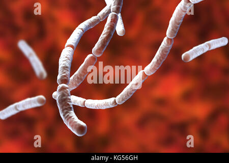 Il fieno bacillus. Illustrazione del calcolatore di Bacillus subtilis batteri. , O il fieno bacillus, è un aerobico, a forma di asta, batteri Gram-positivi. A volte è patogeno negli esseri umani, causando gravi infezioni di occhio come iridocyclitis panophthalmitis e. Foto Stock