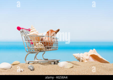 Estate ingaggi, shopping viaggio. carrello sulla spiaggia Foto Stock