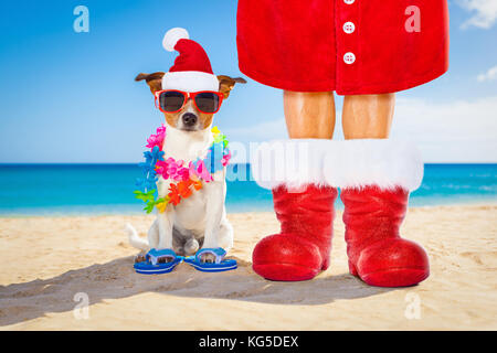 Cane e proprietario seduti insieme vicino alla spiaggia in estate vacanze di natale vacanze, indossando un berretto di Babbo Natale e stivali rossi Foto Stock