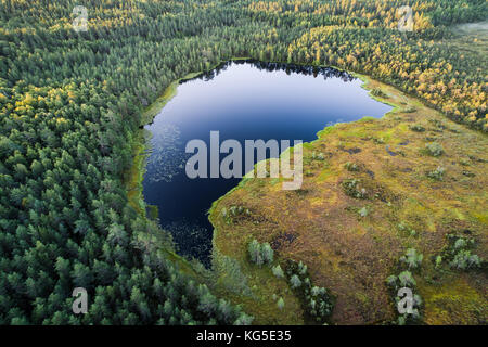 Vista aerea della foresta e dello stagno bog in Kurjenrahka National Park, Finlandia Foto Stock