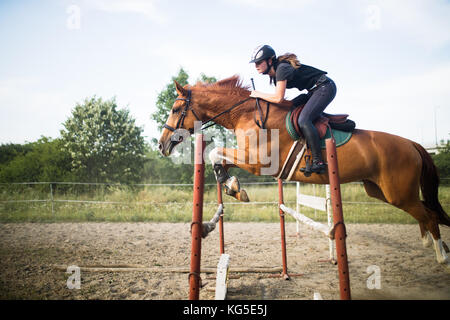 Giovani femmine jockey a cavallo saltando su ostacolo Foto Stock