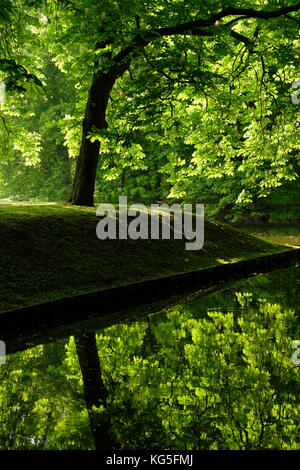 Parco di Wasserschloss Nordkirchen (moated il castello), Münsterland, Renania settentrionale-Vestfalia, Germania Foto Stock