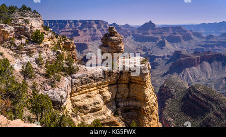 USA, Arizona, Grand Canyon National Park, South Rim, Ducking su una roccia vicino Grandview Point Foto Stock