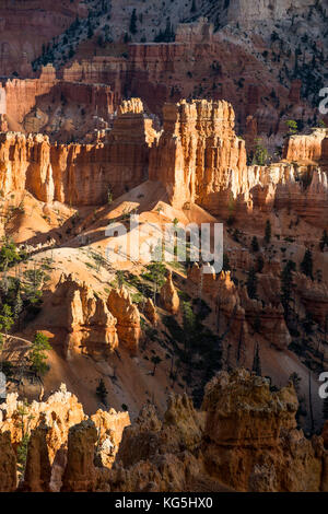 Le colorate formazioni arenarie del parco nazionale di Bryce Canyon nel tardo pomeriggio, Utah, Stati Uniti d'America Foto Stock