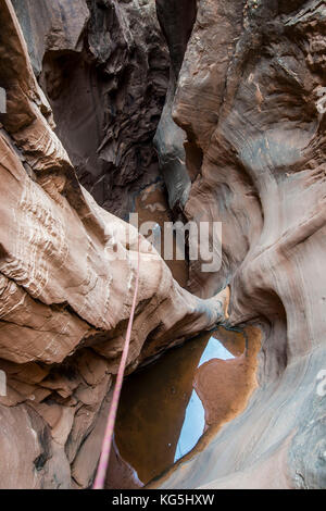 Rop sospeso verso il basso in uno slot canyon per canyonering, Moab, Utah, Stati Uniti d'America Foto Stock