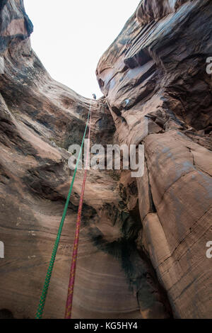 Rop sospeso verso il basso in uno slot canyon per canyonering, Moab, Utah, Stati Uniti d'America Foto Stock