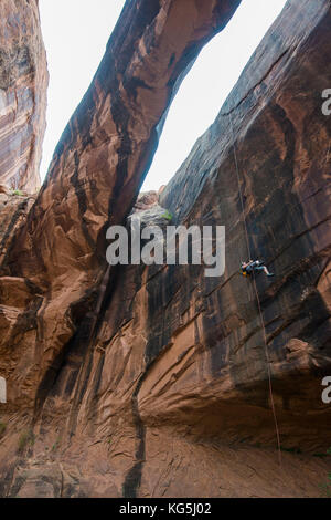 Donna rapelling giù un arco gigante, canyonering, Moab, Utah, Stati Uniti d'America Foto Stock
