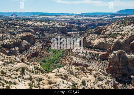 Ammira le scogliere di arenaria del Grand Staircase Escalante National Monument, Utah, USA Foto Stock