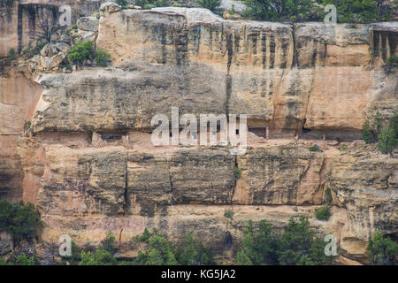 Abitazioni indiano nel parco nazionale di Mesa Verde, Colorado, Stati Uniti d'America Foto Stock