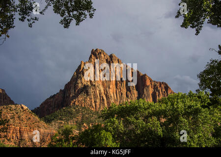 In ritardo la luce del sole incandescente sulle rocce del parco nazionale di Zion, Utah, Stati Uniti d'America Foto Stock