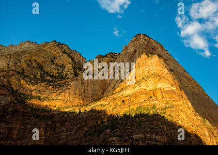 La mattina presto la luce del sole che splende su imponenti scogliere del parco nazionale di Zion, Utah, Stati Uniti d'America Foto Stock