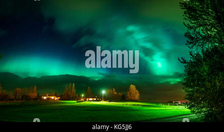 Aurora boreale su farm in egilsstadir, Islanda Orientale Foto Stock