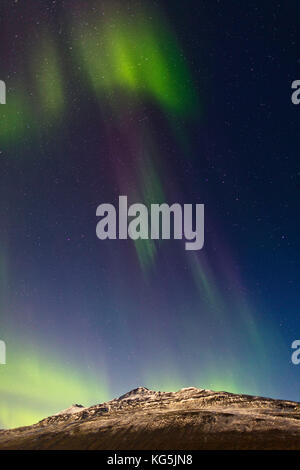 Aurora boreale o luci del nord, nord Islanda Foto Stock