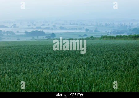 Inghilterra, Cotswolds, worcestershire, alba vicino a Broadway Foto Stock