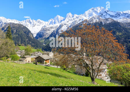 Vista del Soglio tra prati e vette innevate nella primavera del Maloja cantone dei Grigioni Engadin Val Bregaglia Svizzera Europa Foto Stock