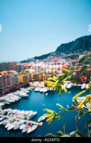 Visualizzazione giornaliera su Fontvieille e il porto di Monaco, Monaco, Principato di Monaco, cote d'azur, sud della Francia, Europa occidentale, Europa Foto Stock