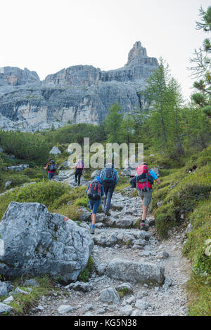 A piedi al Rifugio Tuckett europa, italia, trentino, Vallesinella, madonna di campiglio, RIFUGIO TUCKETT Foto Stock