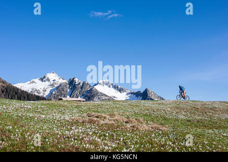 Mountain bike sul verde dei prati coperti da crocus in fiore albaredo valle alpi Orobie valtellina lombardia italia Europa Foto Stock