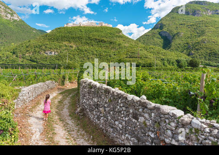 Vista sul castello di Beseno, la più grande fortezza feudale in tutto il distretto del Trentino, Italia Foto Stock