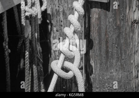 Nodi in una corda trovata all'Old Fisherman's Wharf a Monterey, California Foto Stock