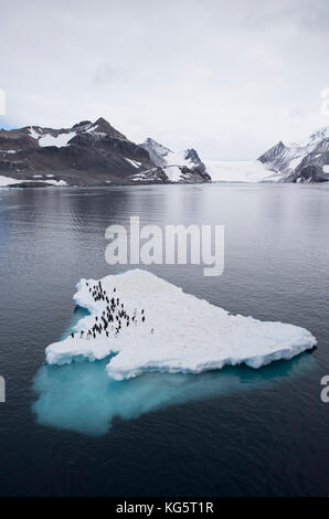 Adelie Penguins on ice floe, Antartide Foto Stock