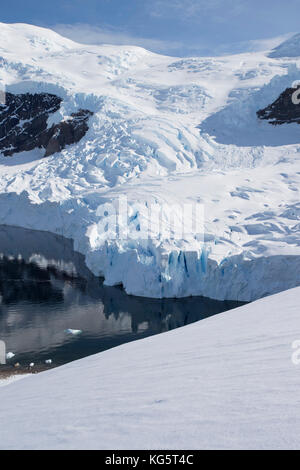 Vista del ghiacciaio da Neko Harbour, Antartico peninsulare Foto Stock