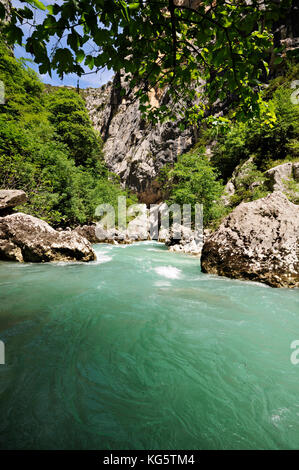 Dal fiume Verdon lungo il sentiero Imbut, Verdon Gorge, Francia Foto Stock