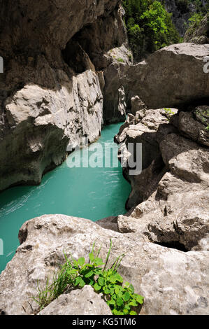 Il mini canyon di styx nel verdon gorge lungo il sentiero imbut, Francia Foto Stock
