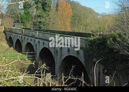 Era Vittoriana in disuso viadotto ferroviario con uno sfondo di alberi di autunno Foto Stock